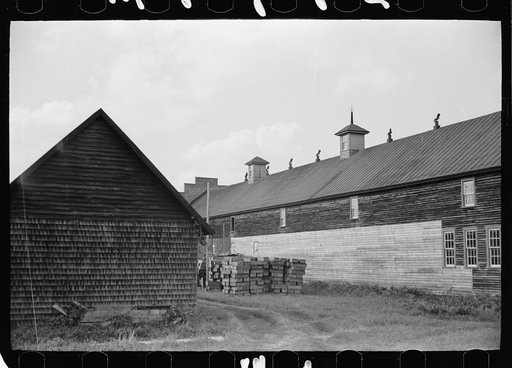 Packing and sorting house at White's Bog, Burlington County, New Jersey