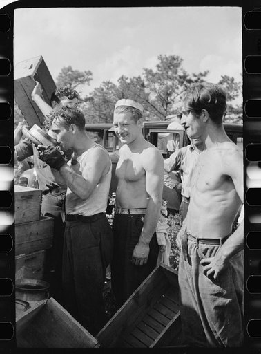 Untitled photo, possibly related to: Cranberry scoopers drinking from the top of a mild car, Burlington County, New Jersey