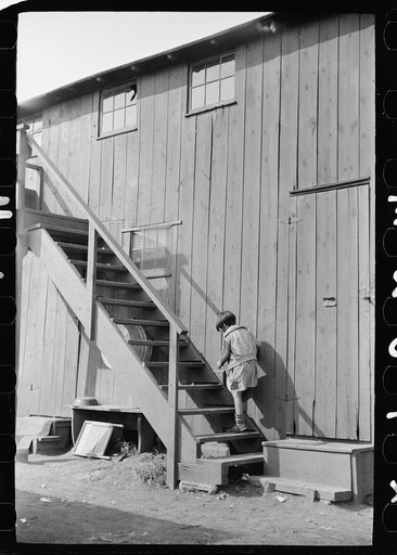 Shack in which families of cranberry pickers are crowded together, Burlington County, New Jersey