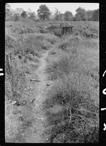 Privy near cranberry pickers' shack, Burlington County, New Jersey