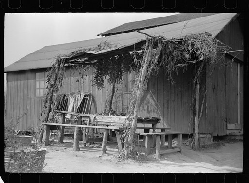 Outdoor eating place for cranberry pickers, Burlington County, New Jersey