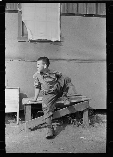 Boy cranberry picker, Burlington County, New Jersey