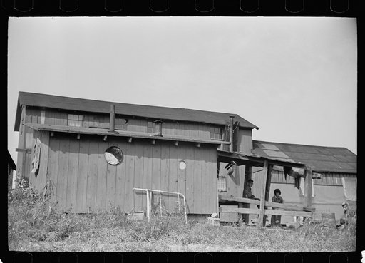 Shacks housing cranberry pickers, Burlington County, New Jersey