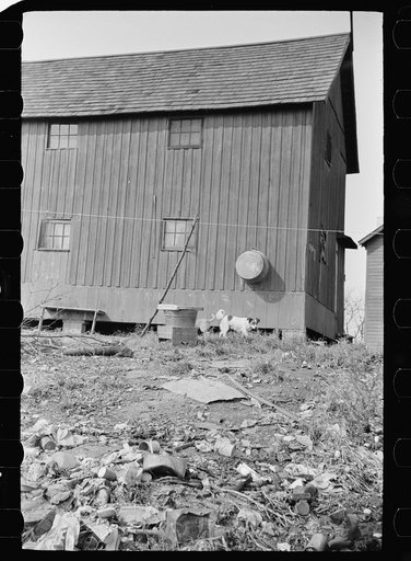 Shack in which families of cranberry pickers are crowded together, Burlington County, New Jersey