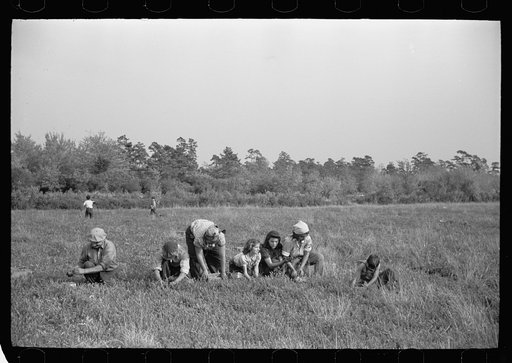 Family of cranberry pickers, Burlington County, New Jersey
