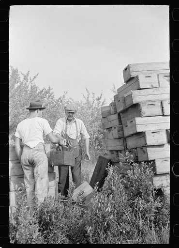 Untitled photo, possibly related to: Checking station for cranberry scoopers, Burlington County, New Jersey