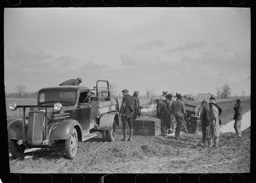 Untitled photo, possibly related to: State highway officials moving sharecroppers away from roadsides to area between the levee and the Mississippi River, New Madrid County, Missouri