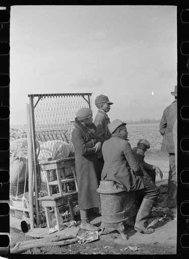 Untitled photo, possibly related to: Evicted sharecroppers along Highway 60, New Madrid County, Missouri