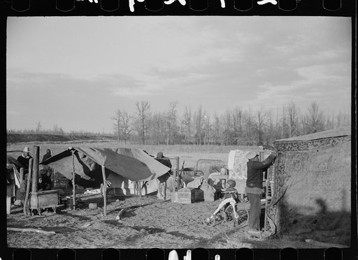 Evicted sharecroppers along Highway 60, New Madrid County, Missouri