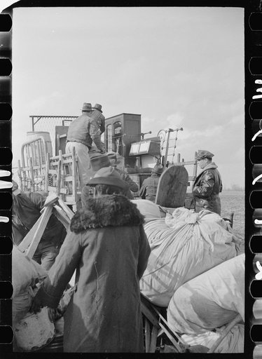 Untitled photo, possibly related to: State highway officials moving evicted sharecroppers away from roadside to area between the levee and the Mississippi River, New Madrid County, Missouri