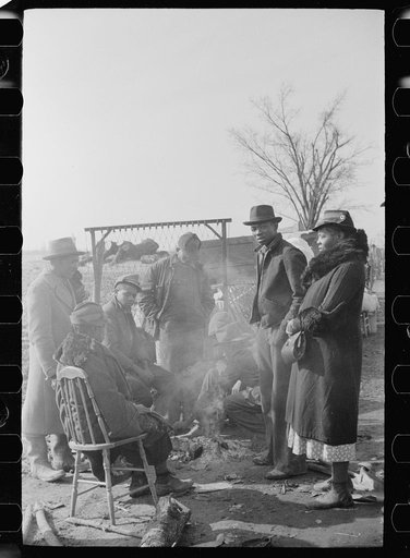 Evicted sharecropper along Highway 60, New Madrid County, Missouri