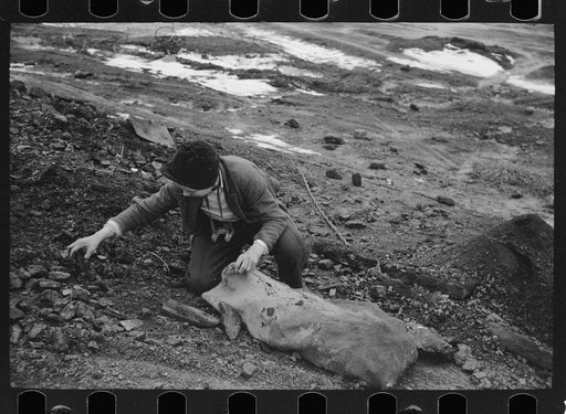 Boy hunting for coal on slack pile, Steritz, Illinois