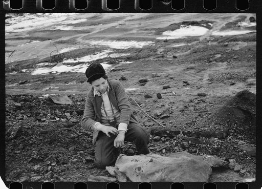 Untitled photo, possibly related to: Boy hunting for coal on slack pile, Steritz, Illinois