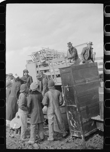 Untitled photo, possibly related to: State highway officials moving sharecroppers away from roadside to area between the levee and the Mississippi River, New Madrid County, Missouri