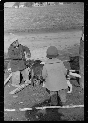 Untitled photo, possibly related to: Evicted sharecroppers along Highway 60, New Madrid County, Missouri