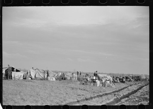 Untitled photo, possibly related to: New Madrid County spillway where evicted sharecroppers were moved from highway, Missouri