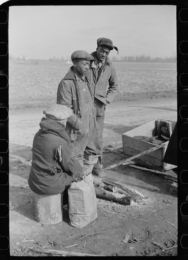 Untitled photo, possibly related to: Evicted sharecropper along Highway 60, New Madrid County, Missouri