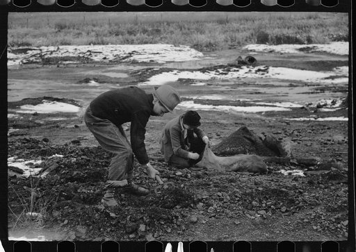 Boys digging for coal on slack pile, Steritz, Illinois