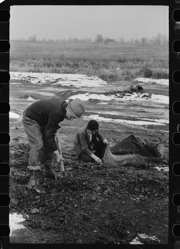 Untitled photo, possibly related to: Boys digging for coal on slack pile, Steritz, Illinois