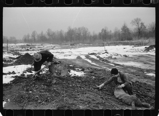 Untitled photo, possibly related to: Boys digging for coal on slack pile, Steritz, Illinois