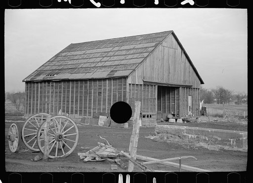 Untitled photo, possibly related to: Barn in which unemployed miner lives, Herrin, Illinois