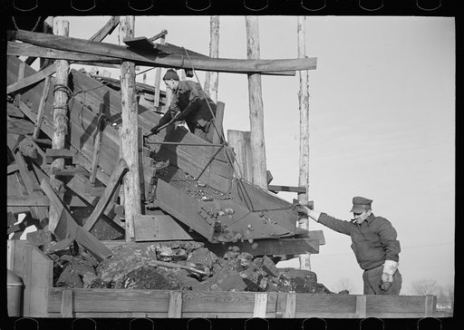 Loading a truck at gopher hole, Williamson County, Illinois
