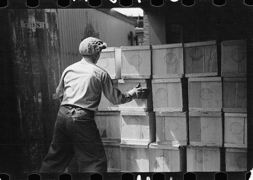 Untitled photo, possibly related to: Packing eggs in cold storage warehouse, Jersey City, New Jersey