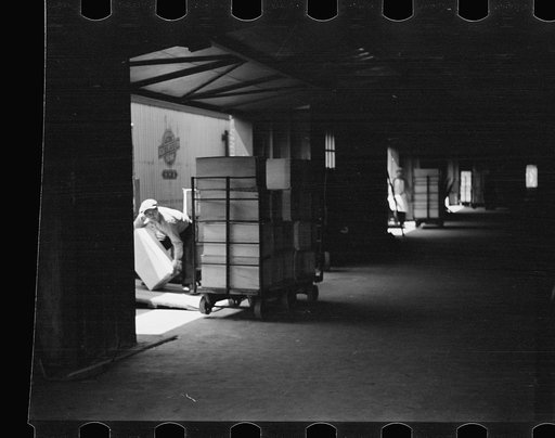Untitled photo, possibly related to: Packing eggs in cold storage warehouse, Jersey City, New Jersey