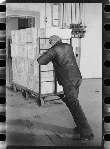 Untitled photo, possibly related to: Packing eggs in cold storage warehouse, Jersey City, New Jersey