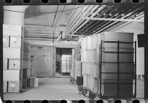 Untitled photo, possibly related to: Packing eggs in cold storage warehouse, Jersey City, New Jersey