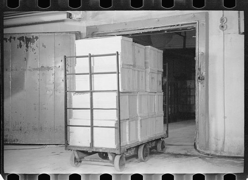Untitled photo, possibly related to: Packing eggs in cold storage warehouse, Jersey City, New Jersey