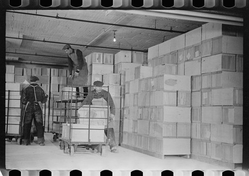 Packing eggs in cold storage warehouse, Jersey City, New Jersey