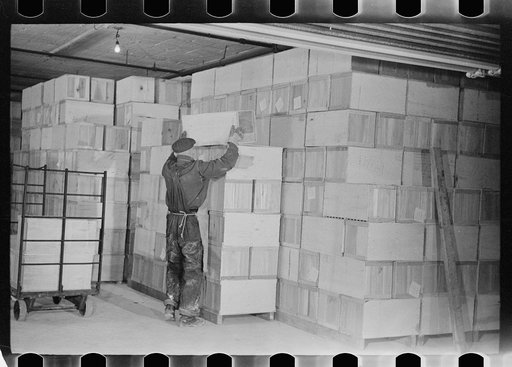 Untitled photo, possibly related to: Packing eggs in cold storage warehouse, Jersey City, New Jersey