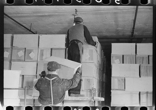 Untitled photo, possibly related to: Packing eggs in cold storage warehouse, Jersey City, New Jersey