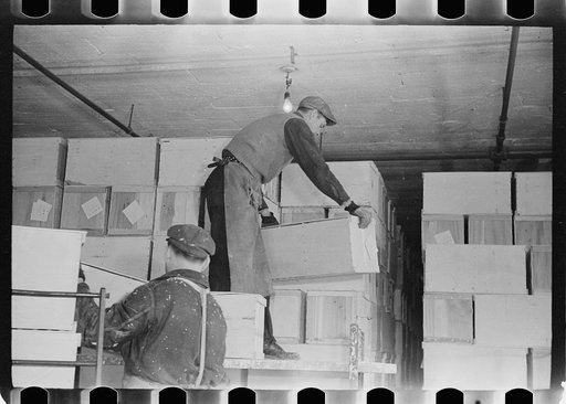 Packing eggs in cold storage warehouse, Jersey City, New Jersey