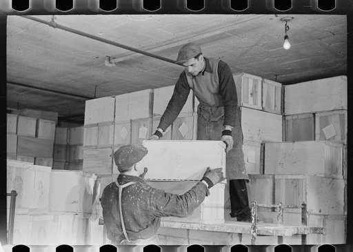 Untitled photo, possibly related to: Packing eggs in cold storage warehouse, Jersey City, New Jersey