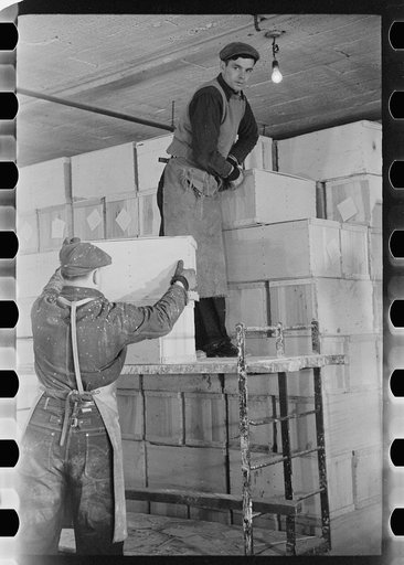 Untitled photo, possibly related to: Packing eggs in cold storage warehouse, Jersey City, New Jersey