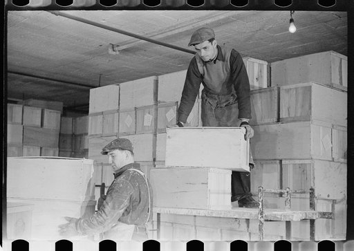 Untitled photo, possibly related to: Packing eggs in cold storage warehouse, Jersey City, New Jersey