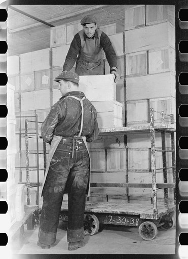 Untitled photo, possibly related to: Packing eggs in cold storage warehouse, Jersey City, New Jersey