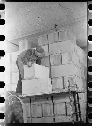 Untitled photo, possibly related to: Packing eggs in cold storage warehouse, Jersey City, New Jersey