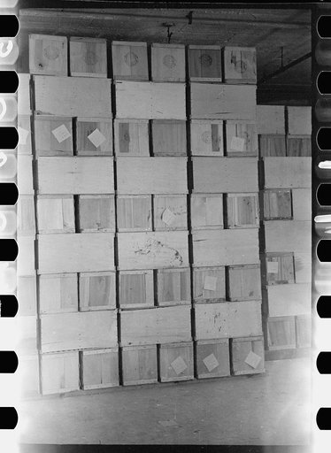 Untitled photo, possibly related to: Packing eggs in cold storage warehouse, Jersey City, New Jersey