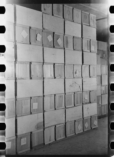 Untitled photo, possibly related to: Packing eggs in cold storage warehouse, Jersey City, New Jersey