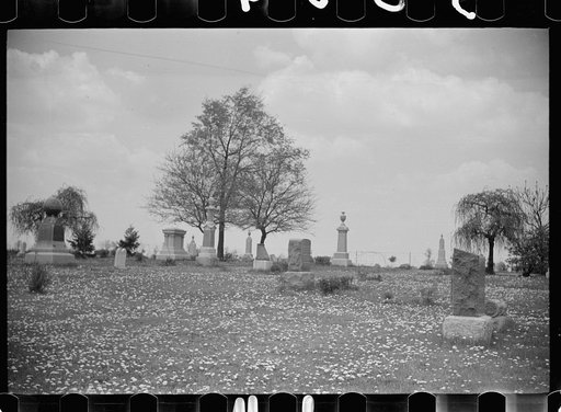 Graveyard in suburbs of Chicago, Illinois