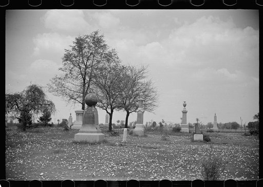 Untitled photo, possibly related to: Graveyard in suburbs of Chicago, Illinois