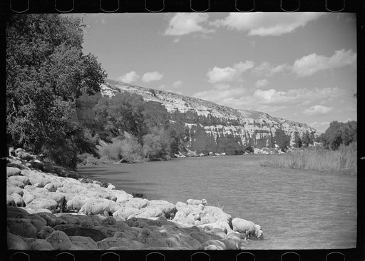 Untitled photo, possibly related to: Sheep watering at Madison River, Montana