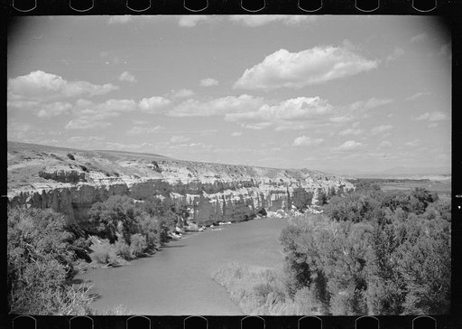 Untitled photo, possibly related to: Sheep at Madison River, Montana