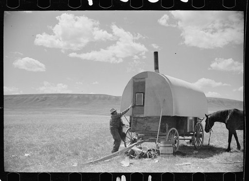 Untitled photo, possibly related to: Sheepherder tying his horse to chuck wagon [i.e., sheepherder's wagon], Madison County, Montana