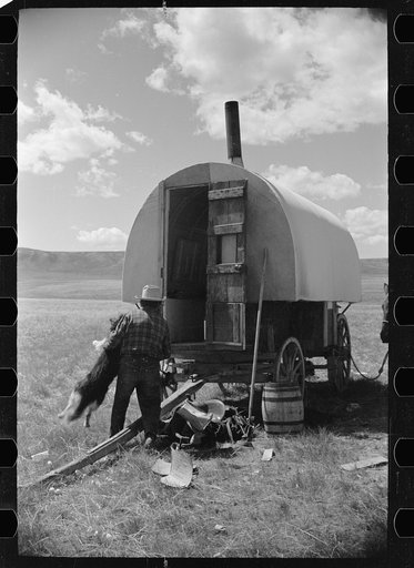 Untitled photo, possibly related to: Sheepherder tying his horse to chuck wagon [i.e., sheepherder's wagon], Madison County, Montana