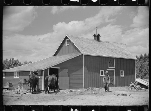 Untitled photo, possibly related to: Resettled farmer with barn and team obtained through FSA (Farm Security Administration), Fairfield Bench Farms, Montana