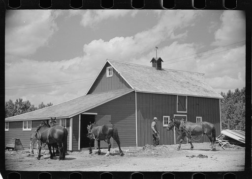 Resettled farmer with barn and team obtained through FSA (Farm Security Administration), Fairfield Bench Farms, Montana